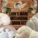 Lion's Mane Mushroom Growing Kit Hericium Erinaceus Diy Spawn Spore Plugs Mushroom Grow Kit With Gift Box Indoor Fungi Cultivation