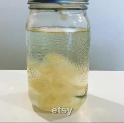 Liquid Culture Jar(s)