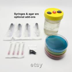 Liquid Culture Solution Jar Magnetic StirBar Wide Mouth Lid Injection Ports 1 Pint