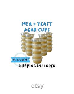 MEA Yeast Agar Cups 25 count, Pre-Poured and Sterile for Spore Germination and Tissue Culture for Mushroom Growing