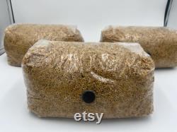 MUSHROOM GRAIN BAG 5 Millet Organic Gmo Free
