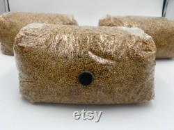 MUSHROOM GRAIN BAG 5 Millet Organic Gmo Free