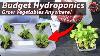 Make A Mini Hydroponics System On A Budget Grow Perfect Plants Every Time