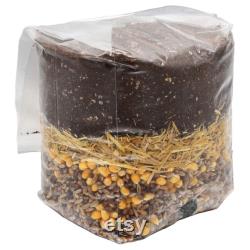 Mega Mix All-In-One Mushroom Grow Bag