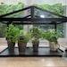 Metal Indoor Greenhouse Steel And Glass Greenhouse Decor Greenhouse Cabinet Succulents Decor