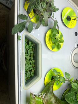 MicroGreens Mini Grower for AeroGarden Harvest, Slim, XL, and 360