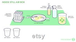 Microclone Advanced Tissue Culture Kit