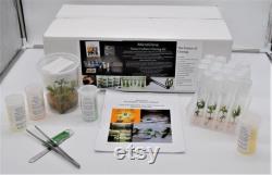 Microclone cannabis tissue culture kit cloning storage clean micropropagation TC