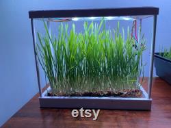 Microgreen Desktop Garden Kit Grow Tray with Grow Light, Timer, Seeds, and Grow Medium