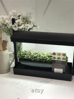 Microgreens Grow System Grow Light Compact Table Top and Self Watering System Hydroponic Micro Mix Soil 4 Organic Microgreen Seeds