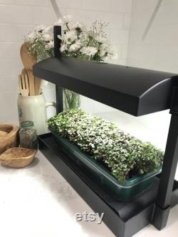 Microgreens Grow System Grow Light Compact Table Top and Self Watering System Hydroponic Micro Mix Soil 4 Organic Microgreen Seeds