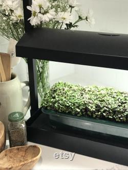 Microgreens Grow System Grow Light Compact Table Top and Self Watering System Hydroponic Micro Mix Soil 4 Organic Microgreen Seeds