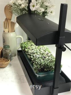 Microgreens Grow System Grow Light Compact Table Top and Self Watering System Hydroponic Micro Mix Soil 4 Organic Microgreen Seeds