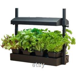 Microgreens Grow System Grow Light Compact Table Top and Self Watering System Hydroponic Micro Mix Soil 4 Organic Microgreen Seeds