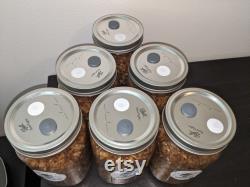 Mighty WBS Tek Jars