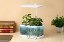 Mini Intelligent Hydroponic Planter Suitable For School, Family, Office, Home, Gift