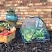 Mini Pop Up Poly Tunnel Greenhouse Instant Cold Frame Plant Protection Cover Garden Grow Cloche For Raised Bed Planter Tomato Strawberry