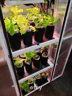 Mobile Greenhouse Cabinet Small Turn-Key Seedling Grow Station for Indoor Outdoor