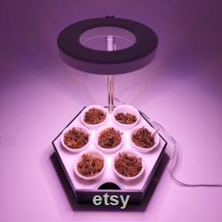 Modular Seed Starter Tray with Optional Grow Light