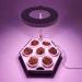 Modular Seed Starter Tray With Optional Grow Light