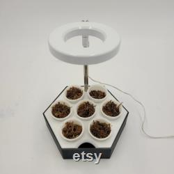 Modular Seed Starter Tray with Optional Grow Light