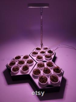 Modular Seed Starter Tray with Optional Grow Light