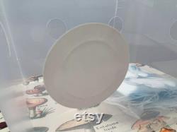 Monotub 45L Empty mushroom fruiting box. Max yield. Mushroom grow kit UK