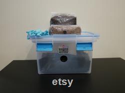 Monotub ESSENTIALS Mushroom Grow Starter Kit