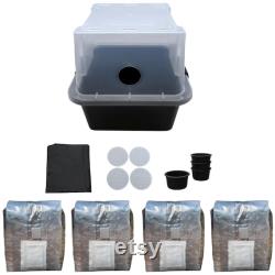 Monotub and 4 pack of 2 Pound All in One Mushroom Grow Bags