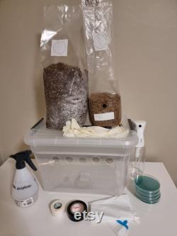 Monotub tub all in one mushroom grow kit (grain spawn bag substrate agar plates)