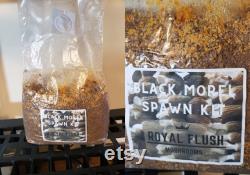 Morel Growing Kit Spawn Kit for Outdoor Bed Great Gift Idea