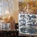 Morel Growing Kit Spawn Kit For Outdoor Bed Great Gift Idea