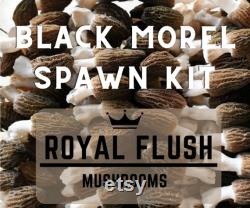 Morel Growing Kit Spawn Kit for Outdoor Bed Great Gift Idea