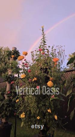 Mountable Self-Watering Hydroponic Tower Outdoor and Indoor Grow Fresh, Full-Sized Vegetables, fruit, herbs, and Greens