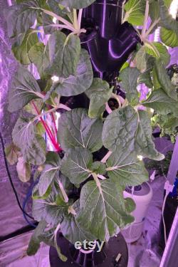 Mountable Self-Watering Hydroponic Tower Outdoor and Indoor Grow Fresh, Full-Sized Vegetables, fruit, herbs, and Greens