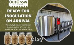 Multi-Grain Mushroom Substrate Jars 12 Pack Mega Mix Grain Spawn Out-Grow