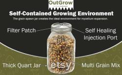 Multi-Grain Mushroom Substrate Jars 12 Pack Mega Mix Grain Spawn Out-Grow