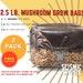Mushroom Cultivation Kit All-in-one Grow Bags With Organic Rye Berries And Cvg Substrate Ideal For Mycology Enthusiasts