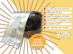 Mushroom Cultivation Kit All-in-One Grow Bags with Organic Rye Berries and CVG Substrate Ideal for Mycology Enthusiasts
