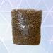 Mushroom Grain Bag With Injection Port 2qt 2lbs Wheat Sterilized Grain Spawn For Growing Mushrooms.