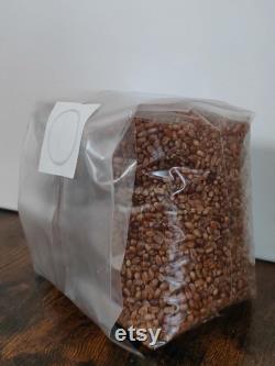 Mushroom Grain Spawn Bag I Sterile Wheat Grain I 1 Kg 1.5 kg 2 Kg 3 Kg