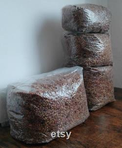 Mushroom Grain Spawn Bag I Sterile Wheat Grain I 1 Kg 1.5 kg 2 Kg 3 Kg