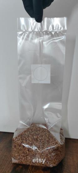 Mushroom Grain Spawn Bag I Sterile Wheat Grain I 1 Kg 1.5 kg 2 Kg 3 Kg