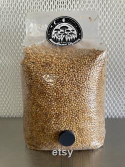 Mushroom Grain Spawn- Millet 2Lbs