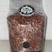 Mushroom Grain Spawn- Milo (sorghum) 2lbs