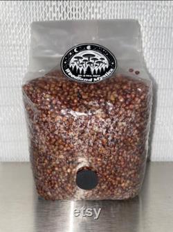 Mushroom Grain Spawn- Milo (Sorghum) 2Lbs