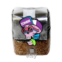 Mushroom Grow Bag 3lb All In One Grow Bag