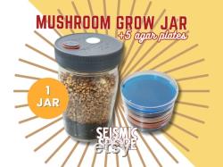 Mushroom Grow Jar 5 Agar Plates (MEA) Quart Wide-Mouth All In One Grow Jar with Reusable Plastic Lid Organic Rye and CVG
