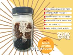 Mushroom Grow Jar 5 Agar Plates (MEA) Quart Wide-Mouth All In One Grow Jar with Reusable Plastic Lid Organic Rye and CVG