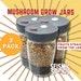 Mushroom Grow Jars 3 Pack Quart Wide-mouth All In One Grow Jar With Reusable Plastic Lid Organic Rye And